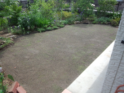 汚かった芝をTMナイン(伸びない芝)で、お庭リフォーム