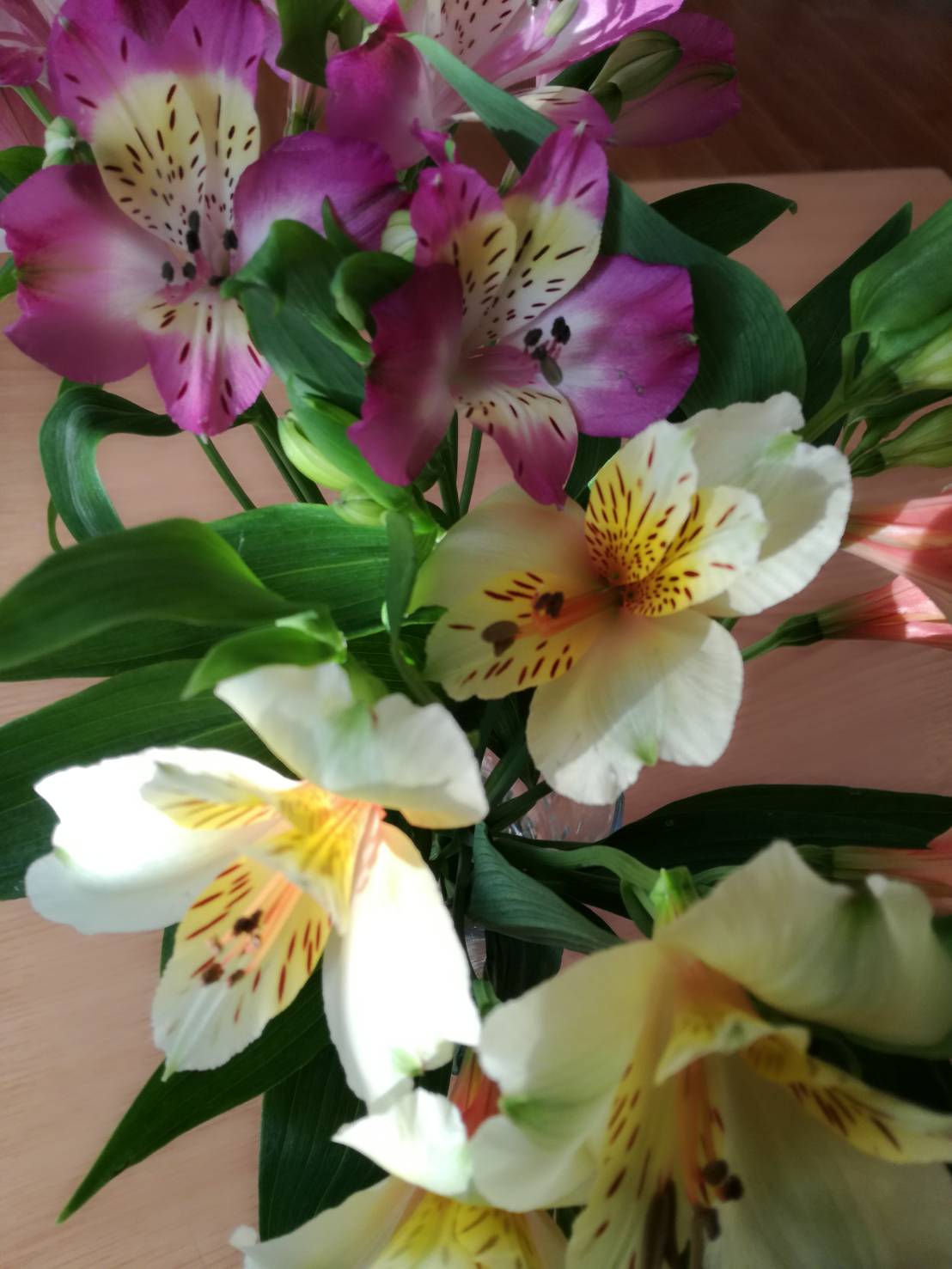 アルストロメリア 花のある暮らし 長野市の造園業幸せな庭づくり美山園芸株式会社